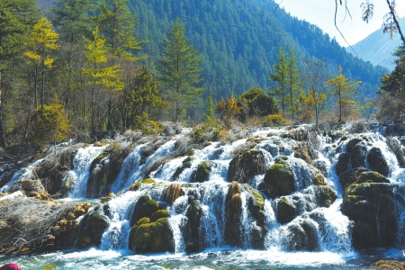 近300游客报名九寨开沟游