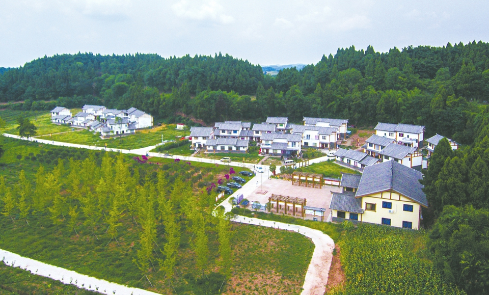 乡村振兴 简阳开出52个项目投资超1100亿元