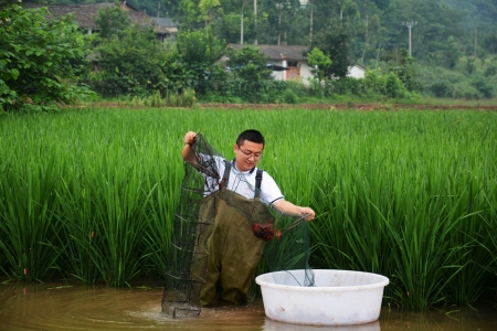 致富经虾_致富虾真的_致富经虾