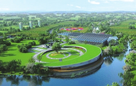 我国率先完成菊花全基因组测序工作