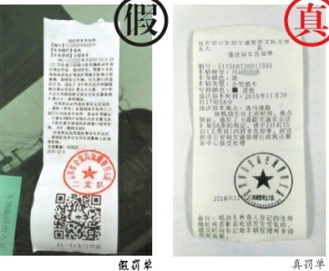 扫码缴纳违停罚款?罚单在挖坑