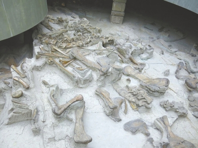 全国首批 自贡世界地质公园将扩园28倍